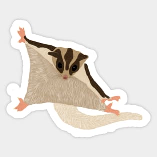 Sugarglider Sticker